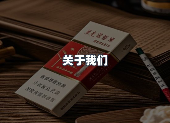 关于我们